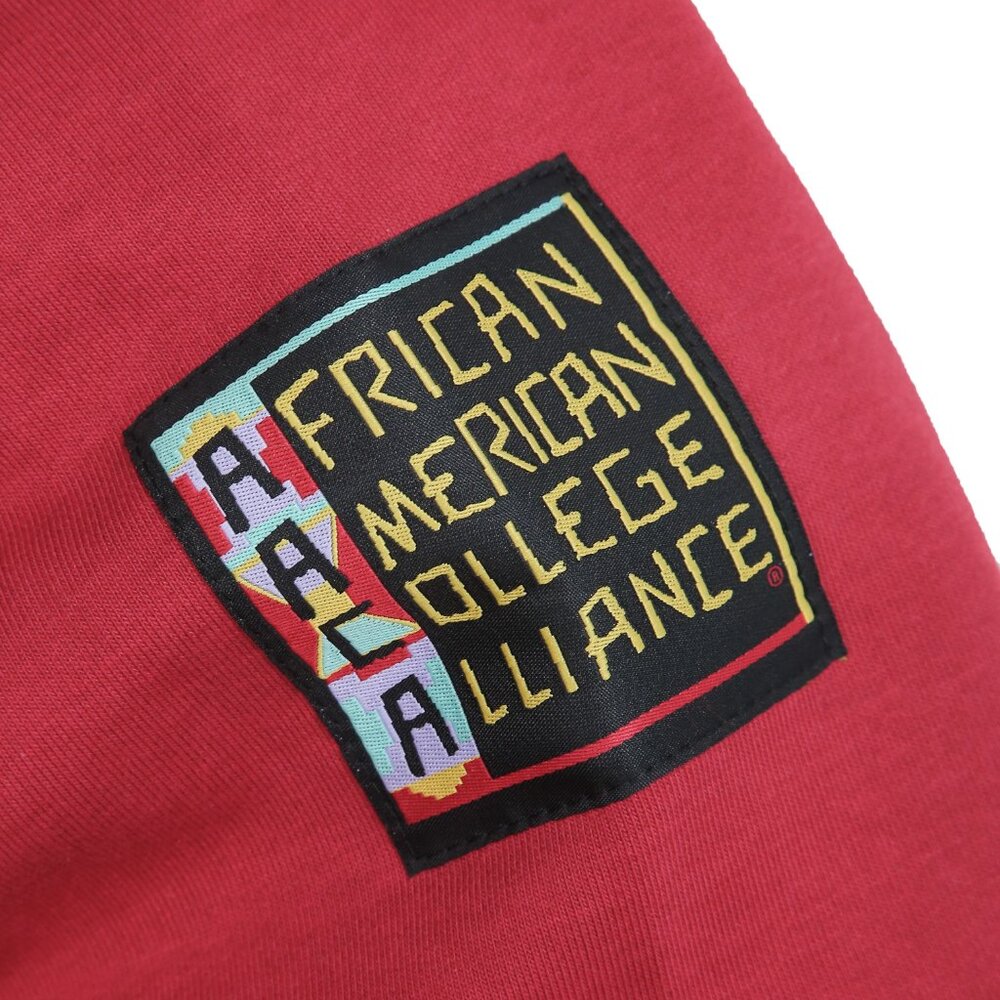 UDC FIREBIRDS Hoodie Retro HBCU Pride AACA Sweatshirt Alumni Gear, Red - Picture 8 of 9